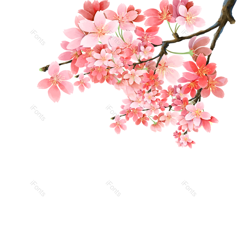 花朵图片,花朵素材元素,樱花PNG,樱花素材免抠素材